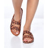Amazonia <br/> Women <br/> Sahara