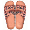 Amazonia <br/> Women <br/> Sahara