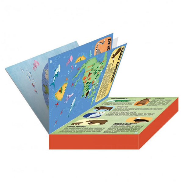 14 Pages book