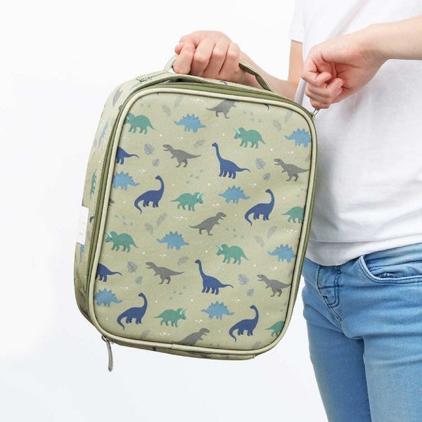 Dinosaurs designed cool bag