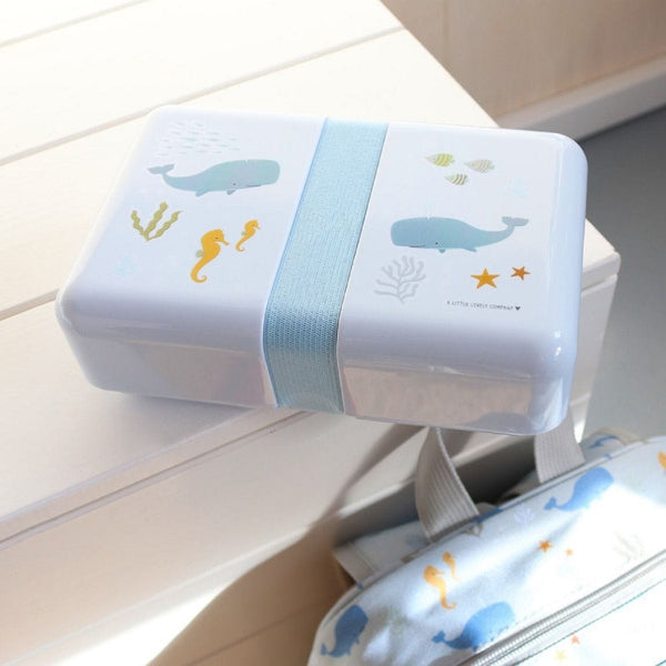 Ocean designed lunch box