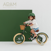 The Small Adam Urban Green
