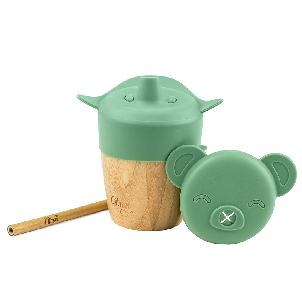 With sippy and straw lid 