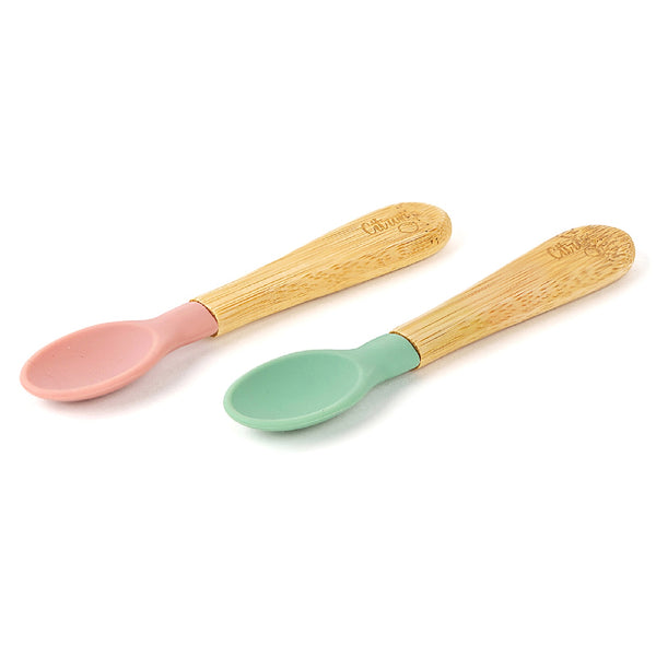 Set of 2 Organic Spoon