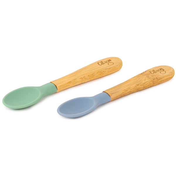 Set of 2 Organic Spoon